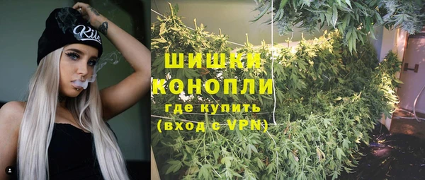прущая мука Нея