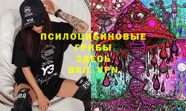 прущая мука Нея
