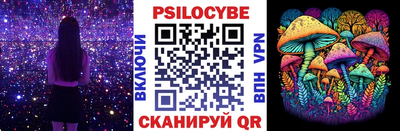 купить закладку  Приволжский  Галлюциногенные грибы Cubensis 